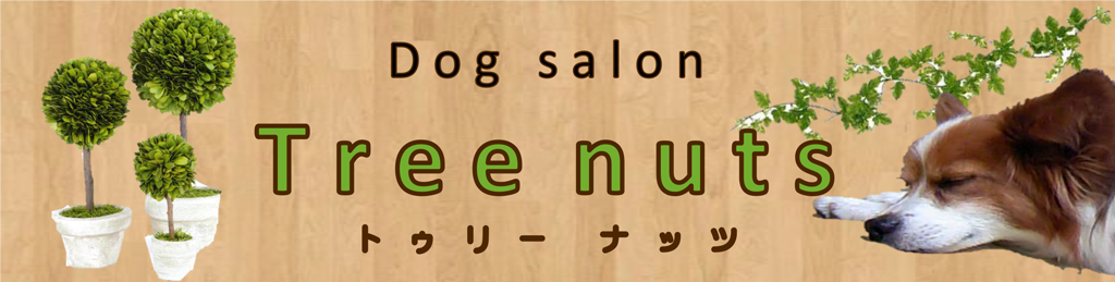 Tree nuts (トゥリーナッツ) Tree nuts (トゥリーナッツ)