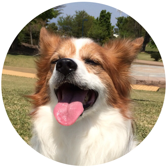 Tree nuts3 Tree nuts3