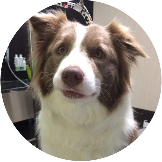 Tree nuts2 Tree nuts2